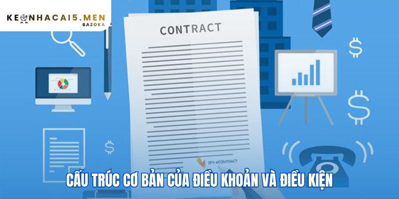 Cấu trúc điều khoản và điều kiện định hình quyền lợi người dùng